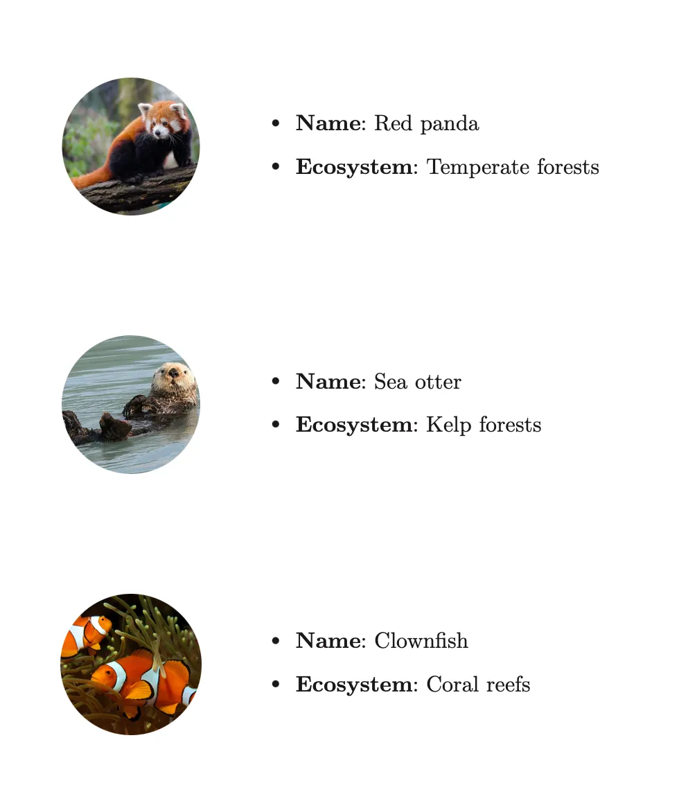 Animal cards rendered from a custom function